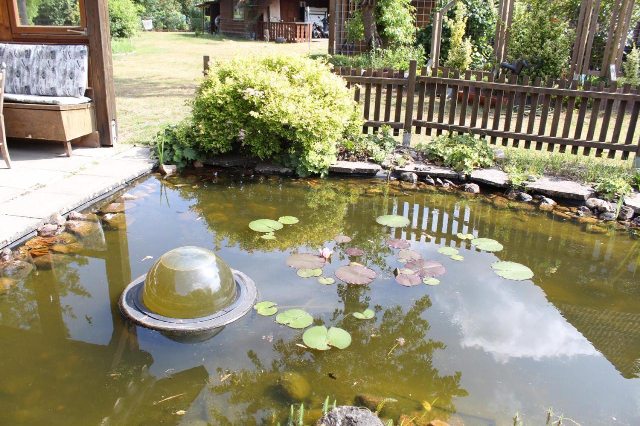 Gepetto Ferienhaus Wissenbach Hademstorf 外观 照片